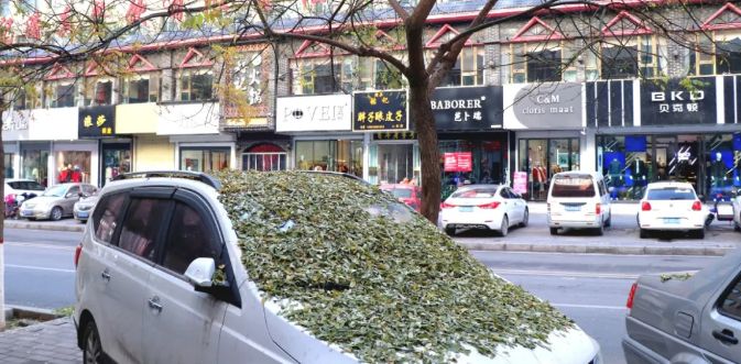 微信截圖_20201113091319.png